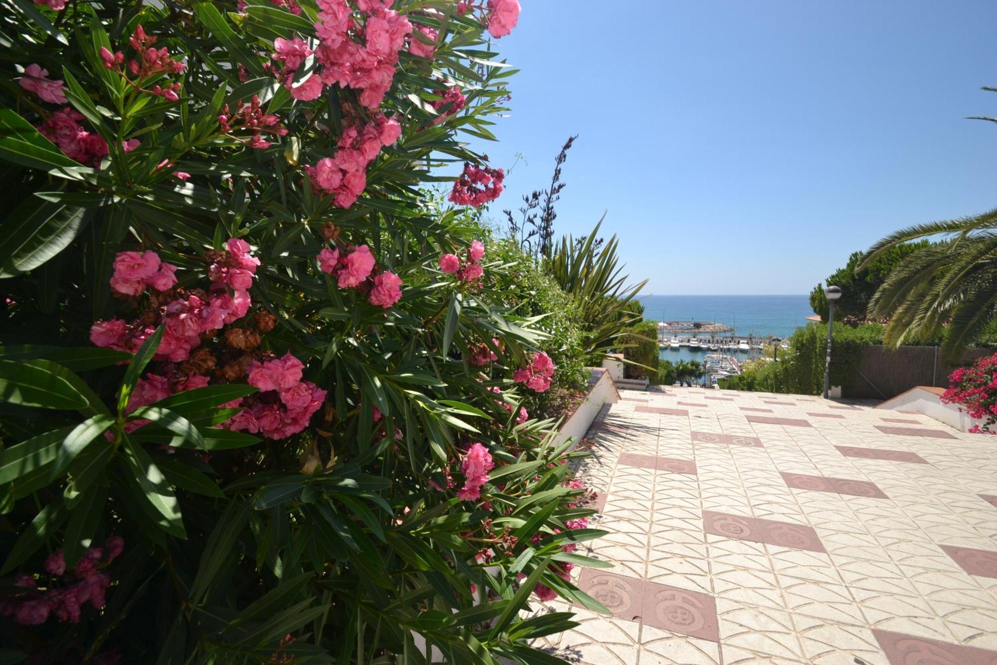 Viva Sitges - Sitges View Apartman Szoba fotó